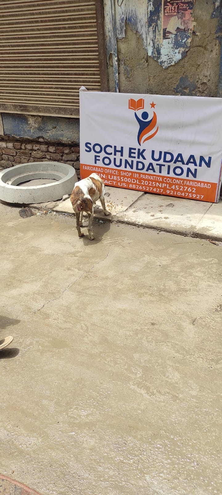 WhatsApp Image 2026-06-16 at 13.04.23